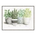 Picture of Pots With Flower _GroupedProduct_Rectangle_Landscape_Canvas_Framed_