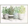 Picture of Pots With Flower _GroupedProduct_Rectangle_Landscape_Canvas_Framed_
