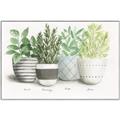 Picture of Pots With Flower _GroupedProduct_Rectangle_Landscape_Canvas_Framed_