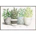 Picture of Pots With Flower _GroupedProduct_Rectangle_Landscape_Canvas_Framed_