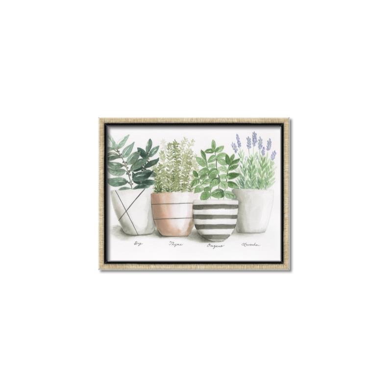 Picture of Pots With Flower I _GroupedProduct_Rectangle_Landscape_Canvas_Framed_