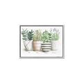 Picture of Pots With Flower I _GroupedProduct_Rectangle_Landscape_Canvas_Framed_