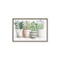 Picture of Pots With Flower I _GroupedProduct_Rectangle_Landscape_Canvas_Framed_