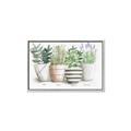 Picture of Pots With Flower I _GroupedProduct_Rectangle_Landscape_Canvas_Framed_