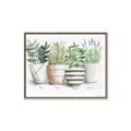 Picture of Pots With Flower I _GroupedProduct_Rectangle_Landscape_Canvas_Framed_