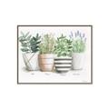 Picture of Pots With Flower I _GroupedProduct_Rectangle_Landscape_Canvas_Framed_