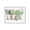 Picture of Pots With Flower I _GroupedProduct_Rectangle_Landscape_Canvas_Framed_