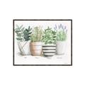 Picture of Pots With Flower I _GroupedProduct_Rectangle_Landscape_Canvas_Framed_