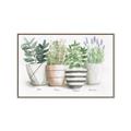 Picture of Pots With Flower I _GroupedProduct_Rectangle_Landscape_Canvas_Framed_