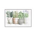 Picture of Pots With Flower I _GroupedProduct_Rectangle_Landscape_Canvas_Framed_