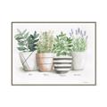Picture of Pots With Flower I _GroupedProduct_Rectangle_Landscape_Canvas_Framed_