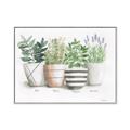 Picture of Pots With Flower I _GroupedProduct_Rectangle_Landscape_Canvas_Framed_