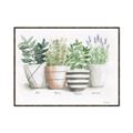 Picture of Pots With Flower I _GroupedProduct_Rectangle_Landscape_Canvas_Framed_