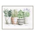 Picture of Pots With Flower I _GroupedProduct_Rectangle_Landscape_Canvas_Framed_