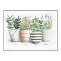 Picture of Pots With Flower I _GroupedProduct_Rectangle_Landscape_Canvas_Framed_