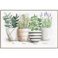 Picture of Pots With Flower I _GroupedProduct_Rectangle_Landscape_Canvas_Framed_