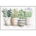Picture of Pots With Flower I _GroupedProduct_Rectangle_Landscape_Canvas_Framed_