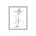 Picture of Single Flower VIII _GroupedProduct_Rectangle_Portrait_Canvas_Framed_