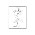 Picture of Single Flower VIII _GroupedProduct_Rectangle_Portrait_Canvas_Framed_