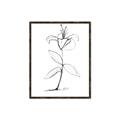 Picture of Single Flower VIII _GroupedProduct_Rectangle_Portrait_Canvas_Framed_