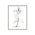 Picture of Single Flower VIII _GroupedProduct_Rectangle_Portrait_Canvas_Framed_