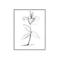 Picture of Single Flower VIII _GroupedProduct_Rectangle_Portrait_Canvas_Framed_