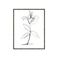 Picture of Single Flower VIII _GroupedProduct_Rectangle_Portrait_Canvas_Framed_