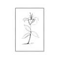 Picture of Single Flower VIII _GroupedProduct_Rectangle_Portrait_Canvas_Framed_