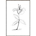 Picture of Single Flower VIII _GroupedProduct_Rectangle_Portrait_Canvas_Framed_