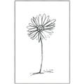 Picture of Single Flower VII  _GroupedProduct_Rectangle_Portrait_Canvas_Framed_