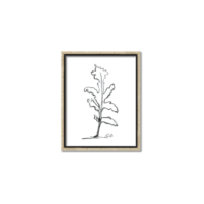 Picture of Single Flower V _GroupedProduct_Rectangle_Portrait_Canvas_Framed_