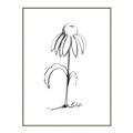 Picture of Single Flower IV _GroupedProduct_Rectangle_Portrait_Canvas_Framed_