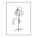 Picture of Single Flower IV _GroupedProduct_Rectangle_Portrait_Canvas_Framed_