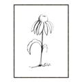 Picture of Single Flower IV _GroupedProduct_Rectangle_Portrait_Canvas_Framed_