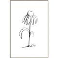Picture of Single Flower IV _GroupedProduct_Rectangle_Portrait_Canvas_Framed_