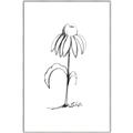 Picture of Single Flower IV _GroupedProduct_Rectangle_Portrait_Canvas_Framed_