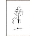 Picture of Single Flower IV _GroupedProduct_Rectangle_Portrait_Canvas_Framed_