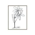 Picture of Single Flower III _GroupedProduct_Rectangle_Portrait_Canvas_Framed_