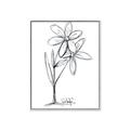 Picture of Single Flower III _GroupedProduct_Rectangle_Portrait_Canvas_Framed_