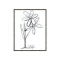 Picture of Single Flower III _GroupedProduct_Rectangle_Portrait_Canvas_Framed_