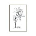 Picture of Single Flower III _GroupedProduct_Rectangle_Portrait_Canvas_Framed_