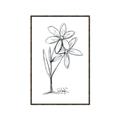 Picture of Single Flower III _GroupedProduct_Rectangle_Portrait_Canvas_Framed_