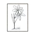 Picture of Single Flower III _GroupedProduct_Rectangle_Portrait_Canvas_Framed_