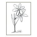 Picture of Single Flower III _GroupedProduct_Rectangle_Portrait_Canvas_Framed_