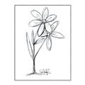 Picture of Single Flower III _GroupedProduct_Rectangle_Portrait_Canvas_Framed_