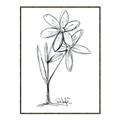 Picture of Single Flower III _GroupedProduct_Rectangle_Portrait_Canvas_Framed_