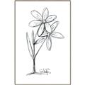 Picture of Single Flower III _GroupedProduct_Rectangle_Portrait_Canvas_Framed_