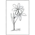 Picture of Single Flower III _GroupedProduct_Rectangle_Portrait_Canvas_Framed_