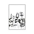 Picture of Silhouette Leaves I  _GroupedProduct_Rectangle_Portrait_Canvas_Framed_