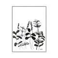 Picture of Silhouette Leaves I  _GroupedProduct_Rectangle_Portrait_Canvas_Framed_